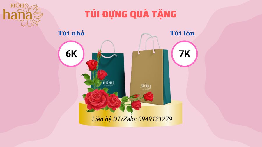 Túi giấy đựng quà tặng Mỹ phẩm Riori 